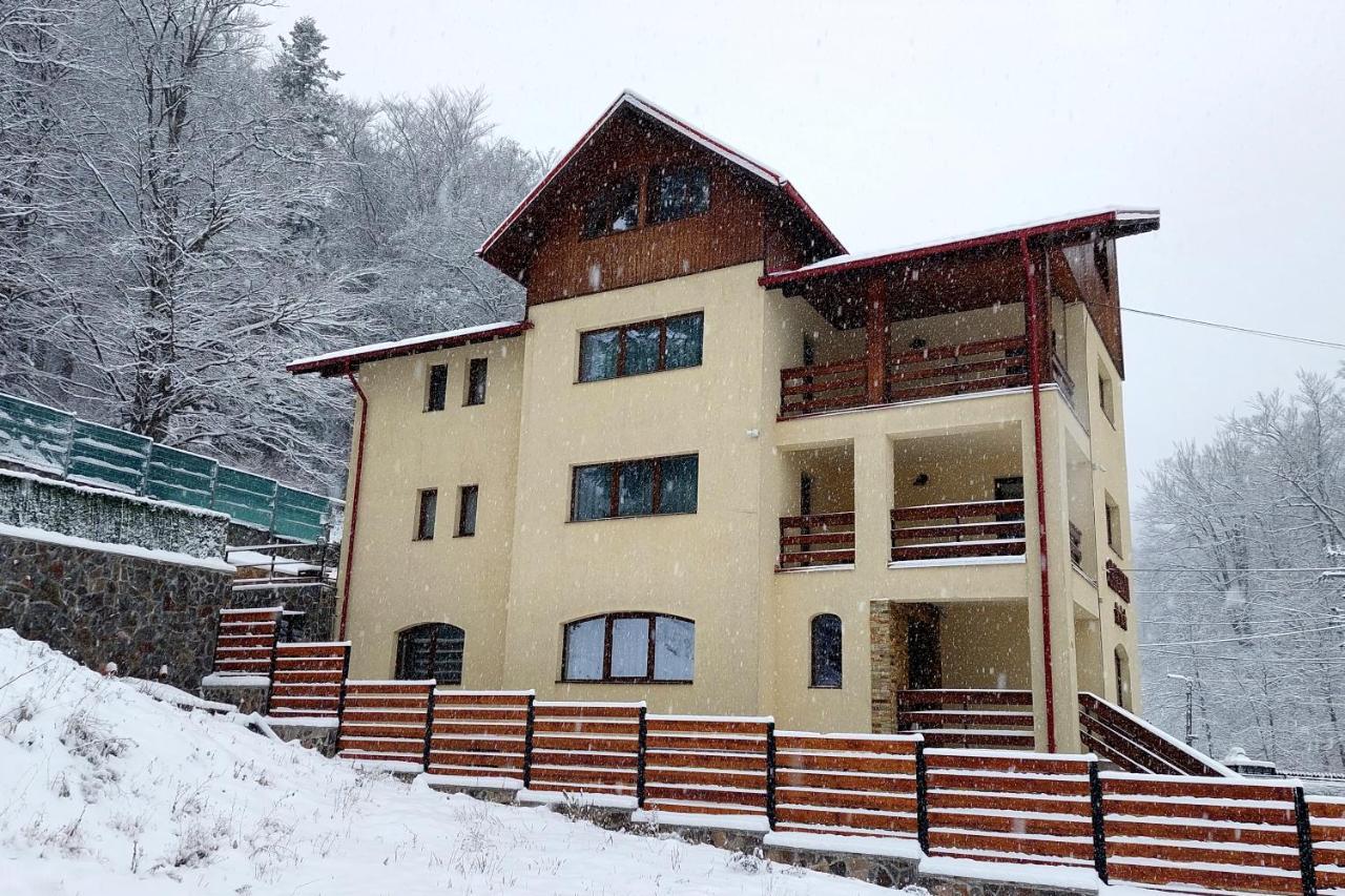 Casa Raisa Hotel Buşteni Exterior foto
